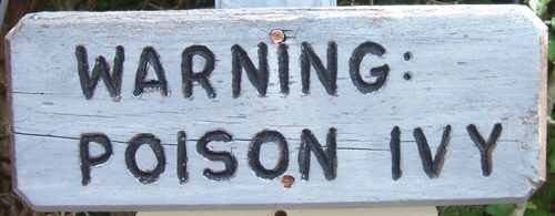 Poison Ivy Poison Ivy